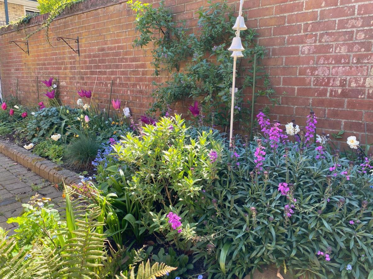 Stylish Town Centre House With Garden And Parking Opposite Villa Bury St. Edmunds Ngoại thất bức ảnh